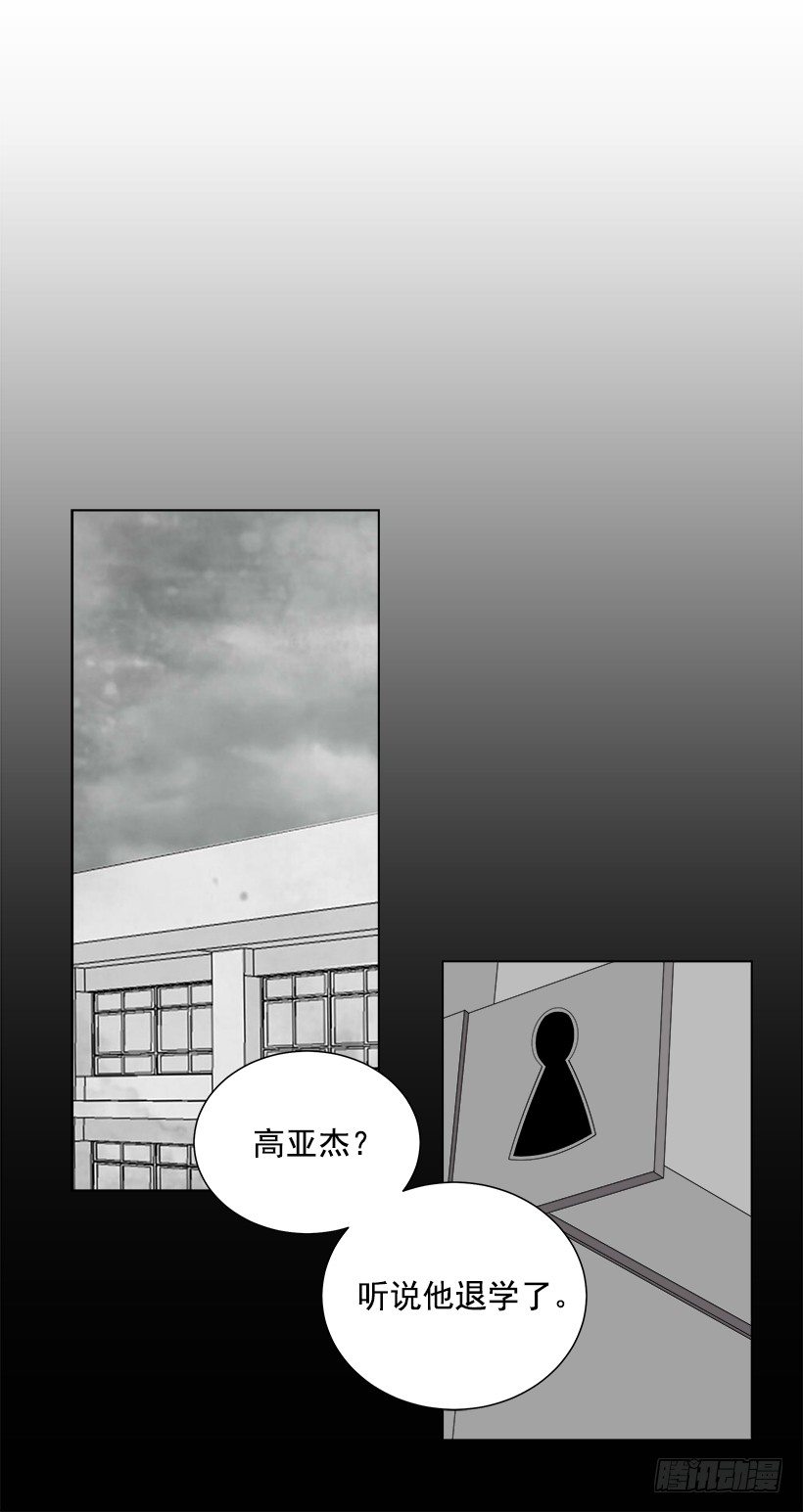 发小41