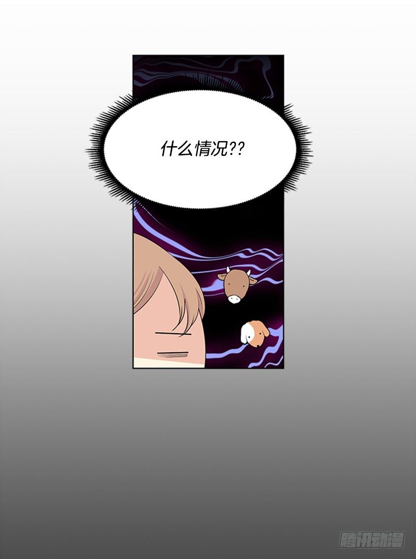 一点都不般配37