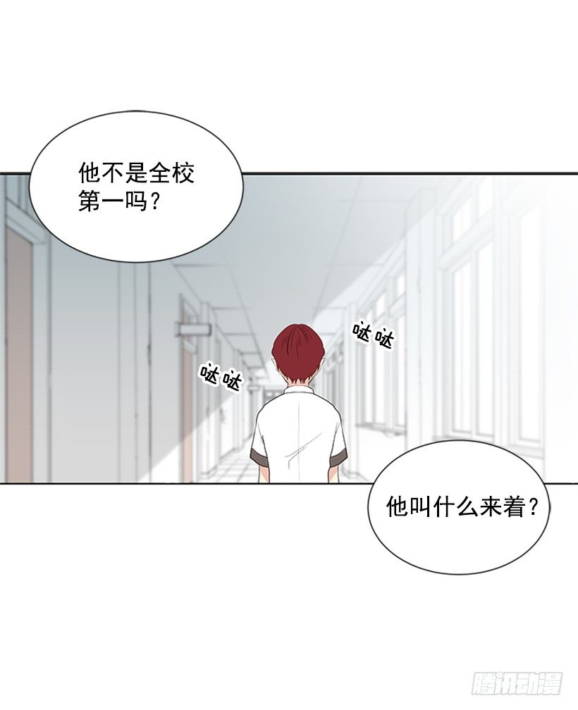 光合作用38