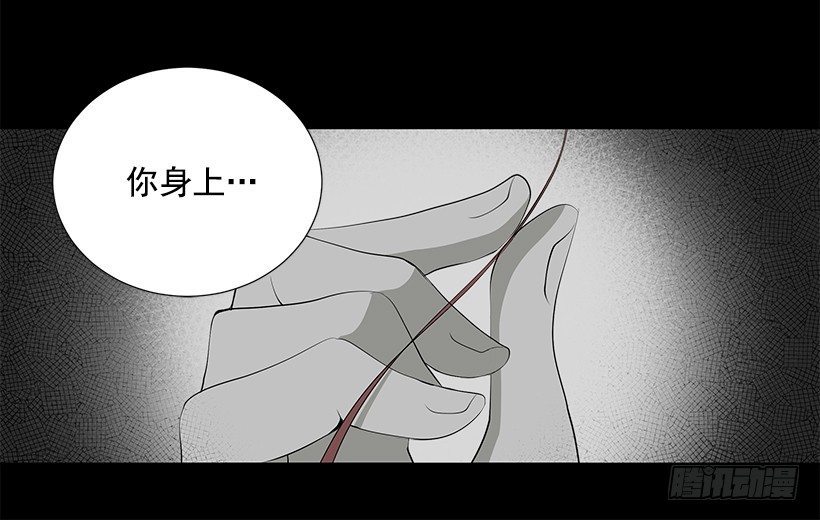 作战成功13