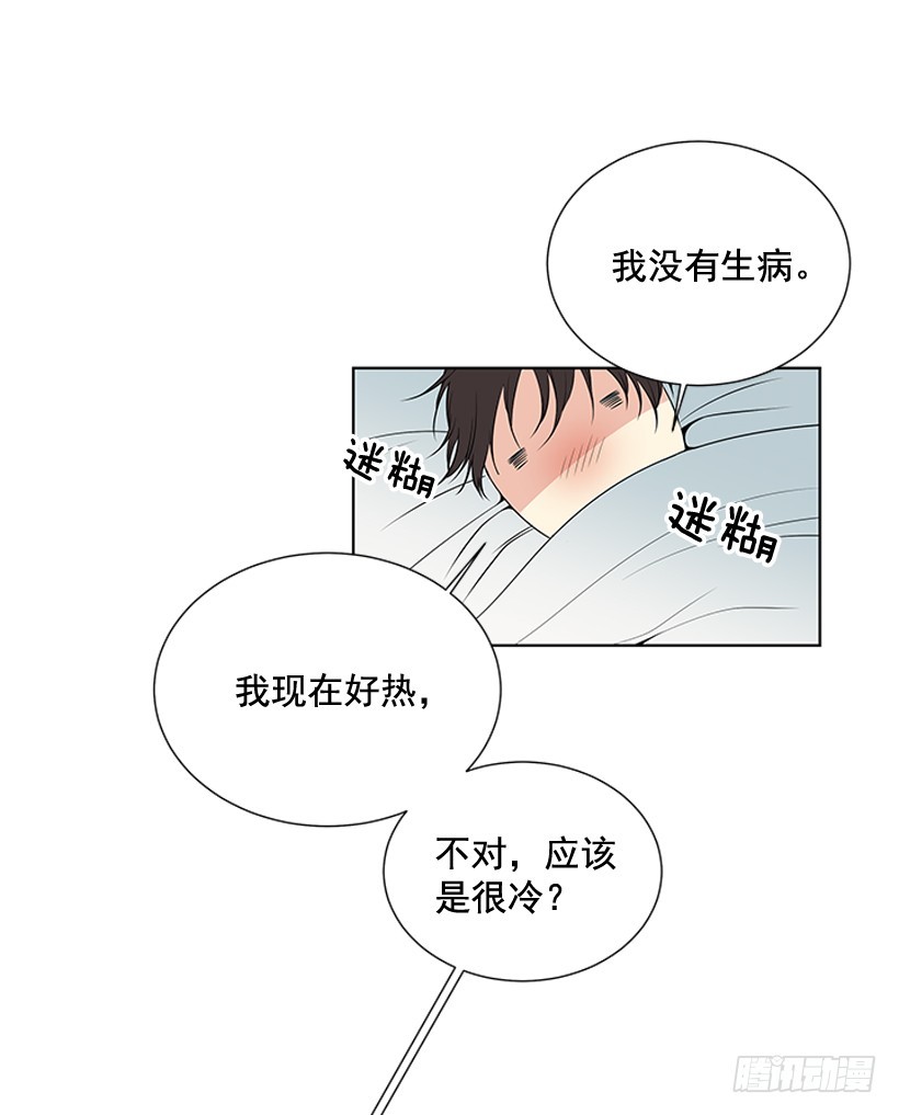 烧糊涂了27