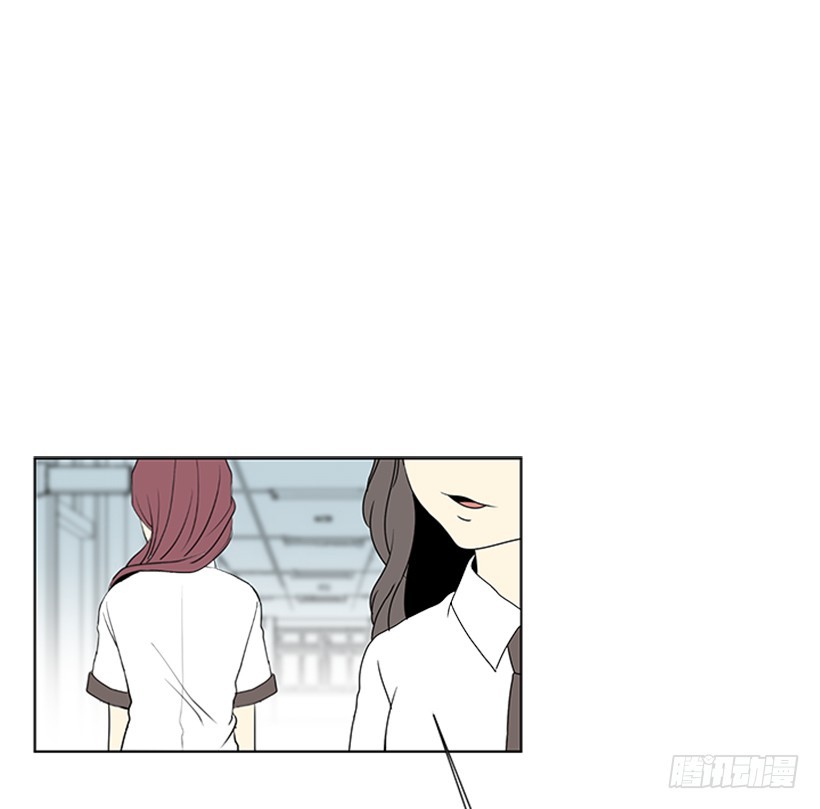 明确答复29