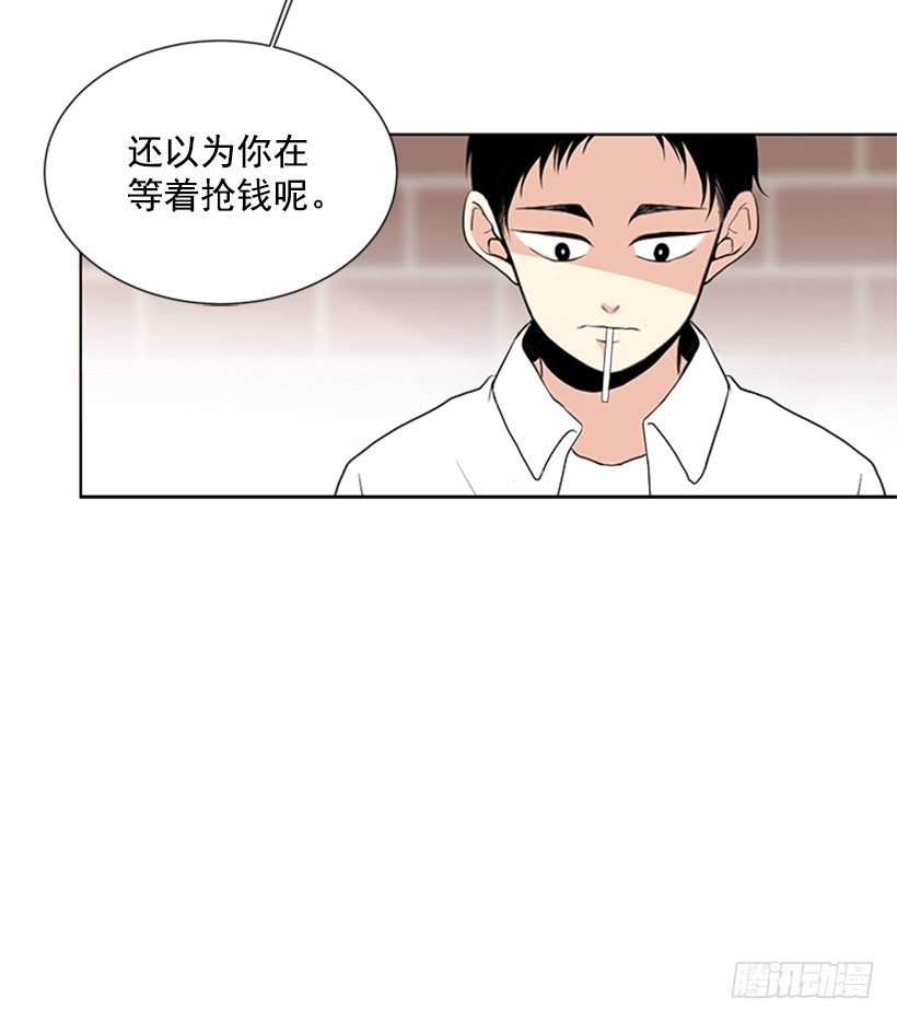 光合作用29