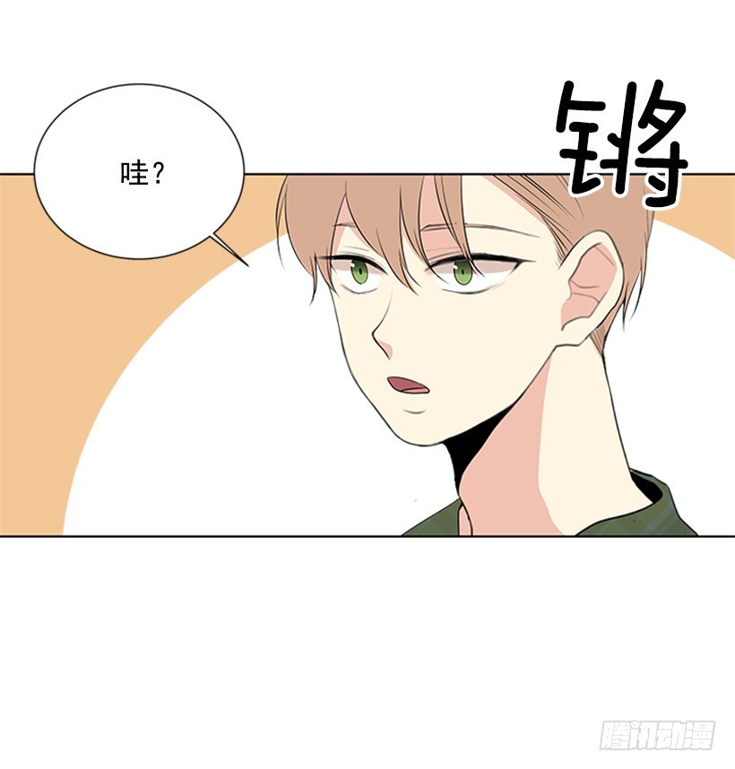 木鱼脑袋37
