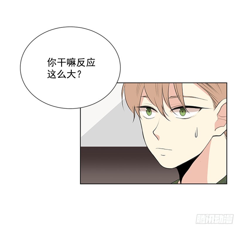 木鱼脑袋56