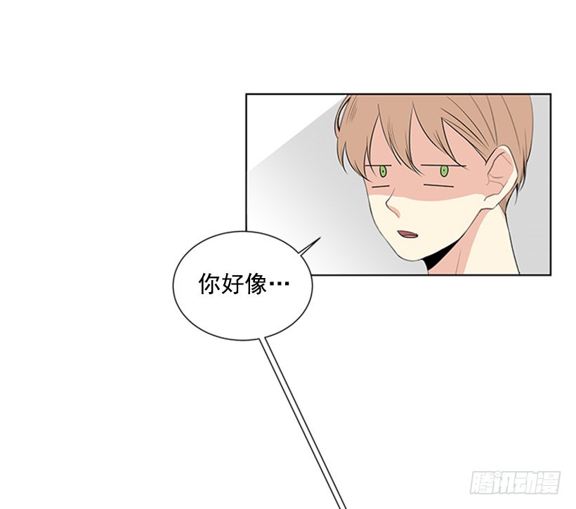 木鱼脑袋47