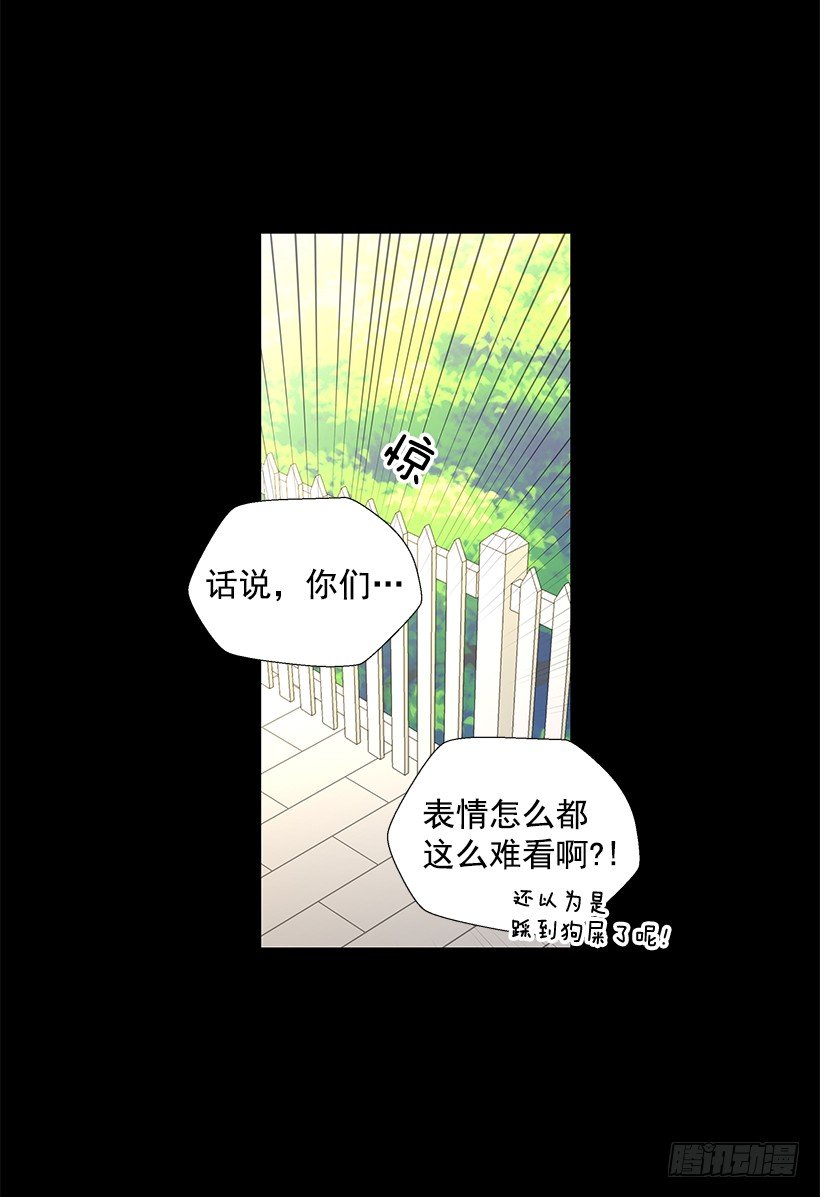 双胞胎19
