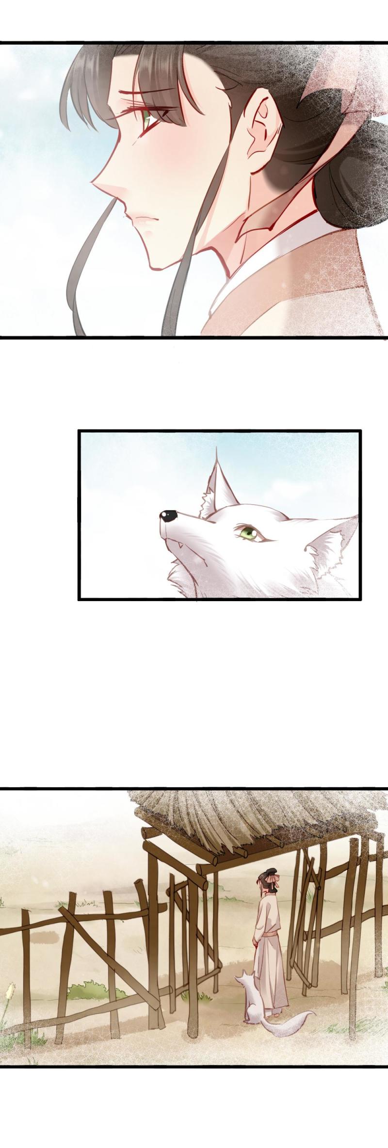 10711