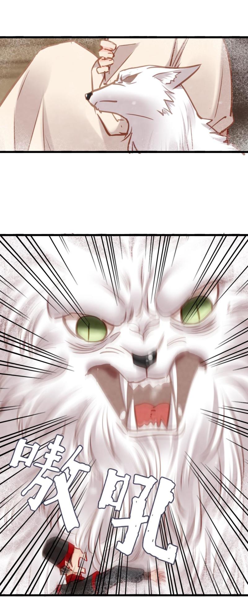 10716