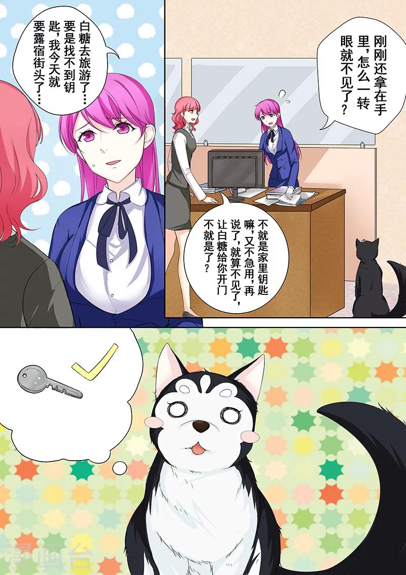 第5话 我不是二哈1