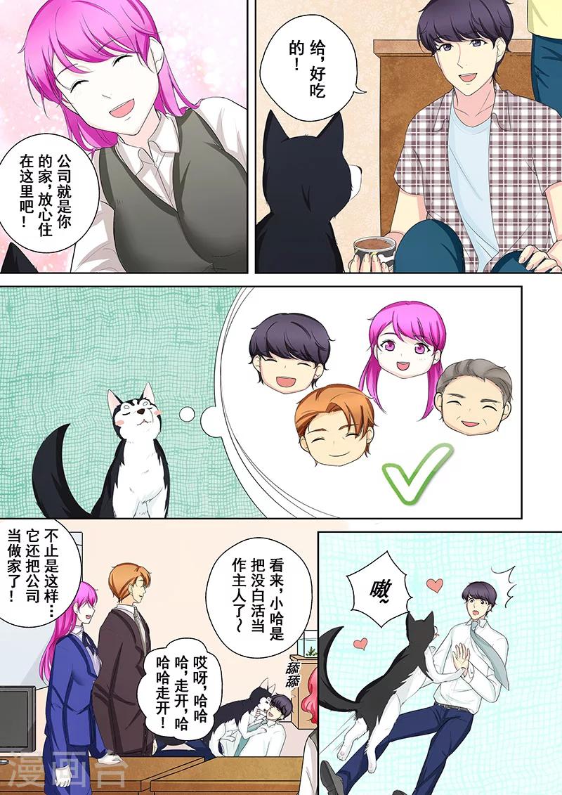 第5话 我不是二哈23
