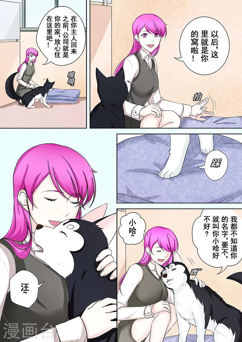 第5话 我不是二哈19