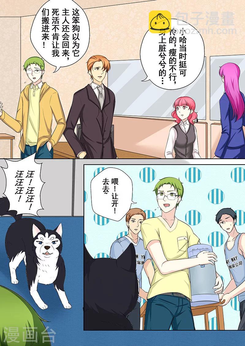 第5话 我不是二哈8