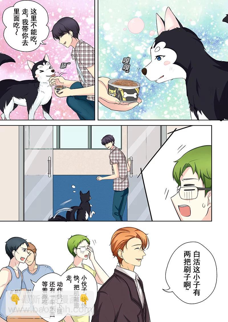 第5话 我不是二哈11