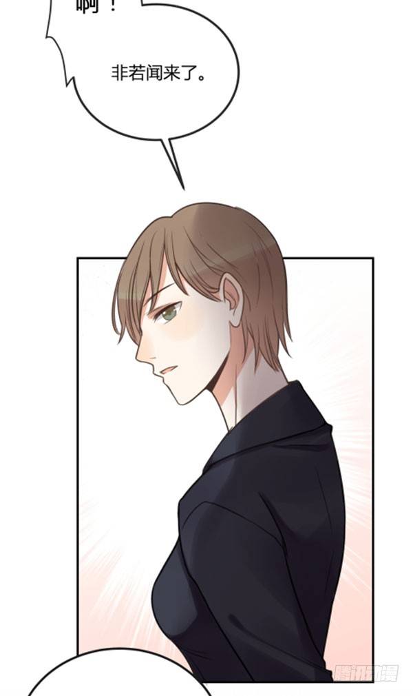 青鸟19