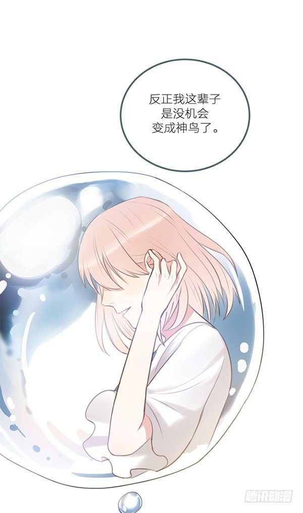 青鸟73
