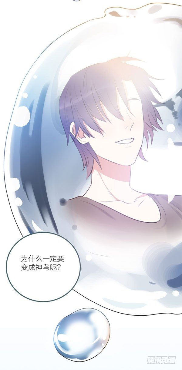 青鸟74