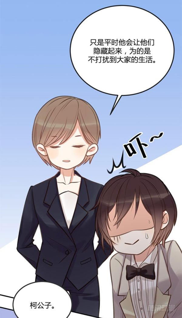 青鸟37
