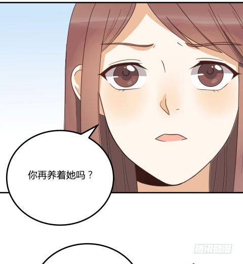 界限41