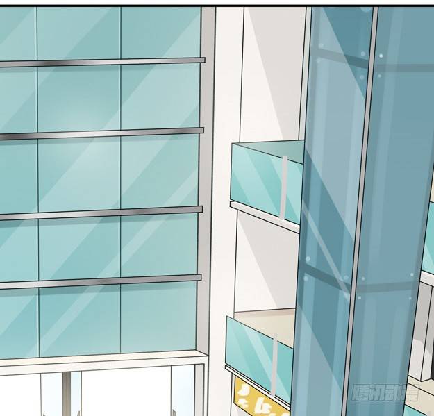 方案B6