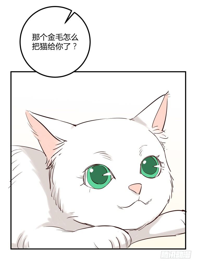 月色真美81