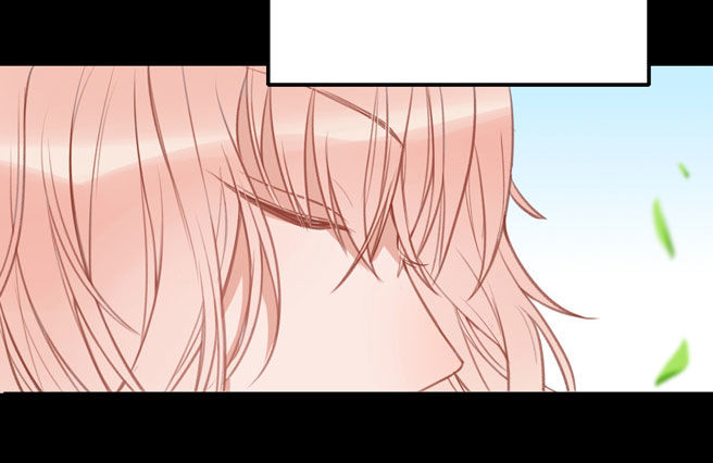 非鸾33