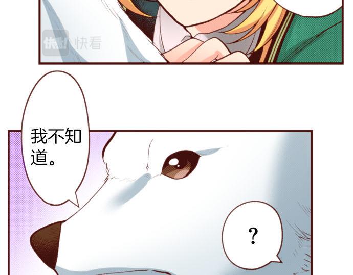 第58话 心中的悸动11