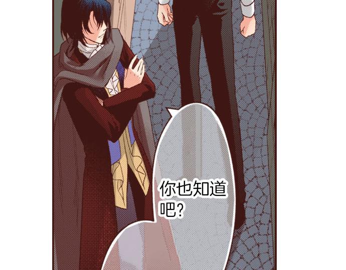 第21话 公平竞争6