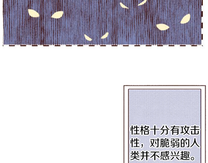 第24话 忠犬上线！8