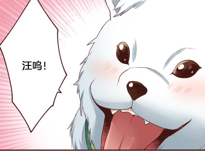 第24话 忠犬上线！32