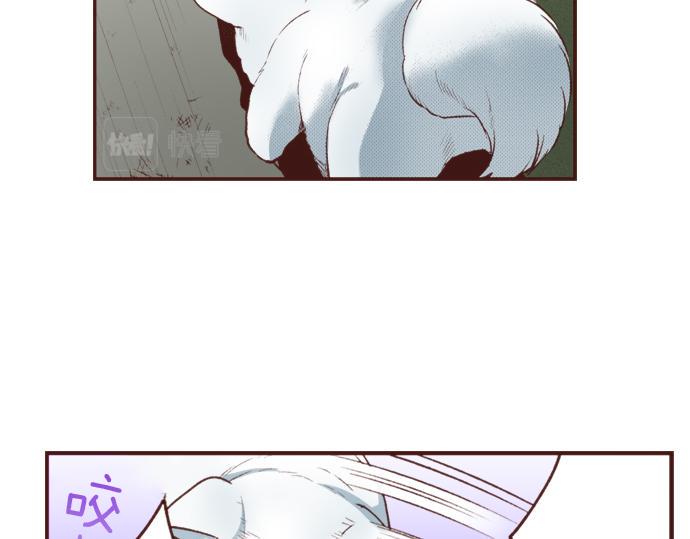 第25话 茸茸40
