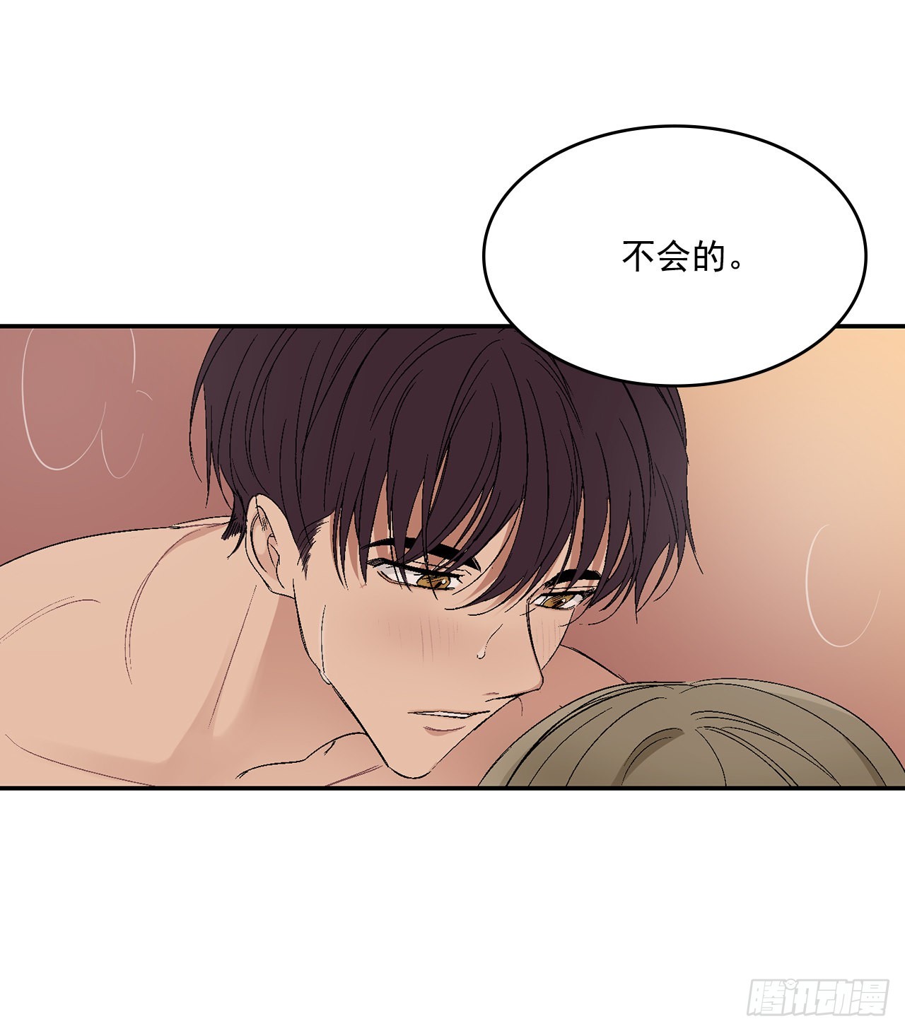 37.总裁的喜好35