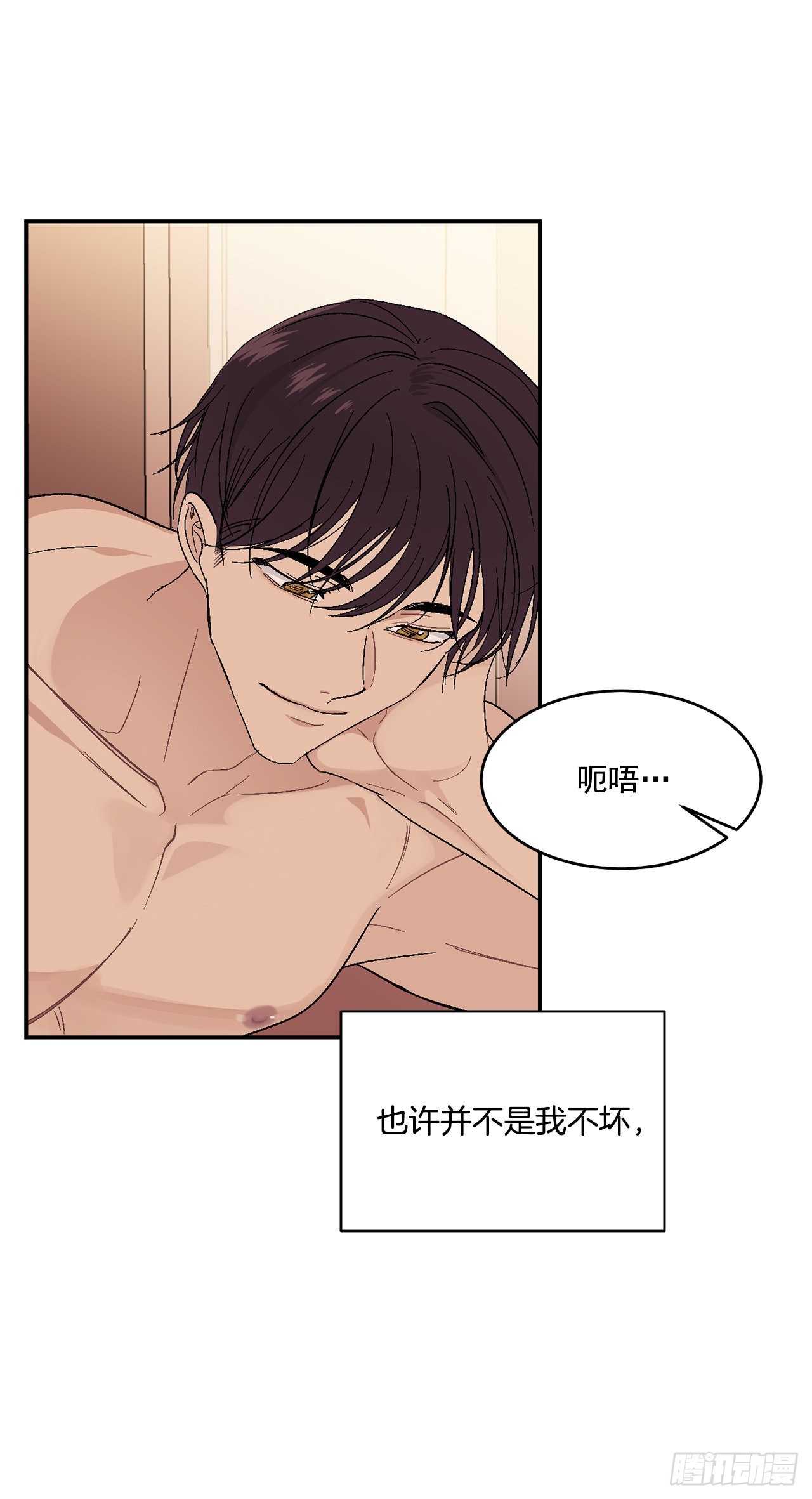 37.总裁的喜好43