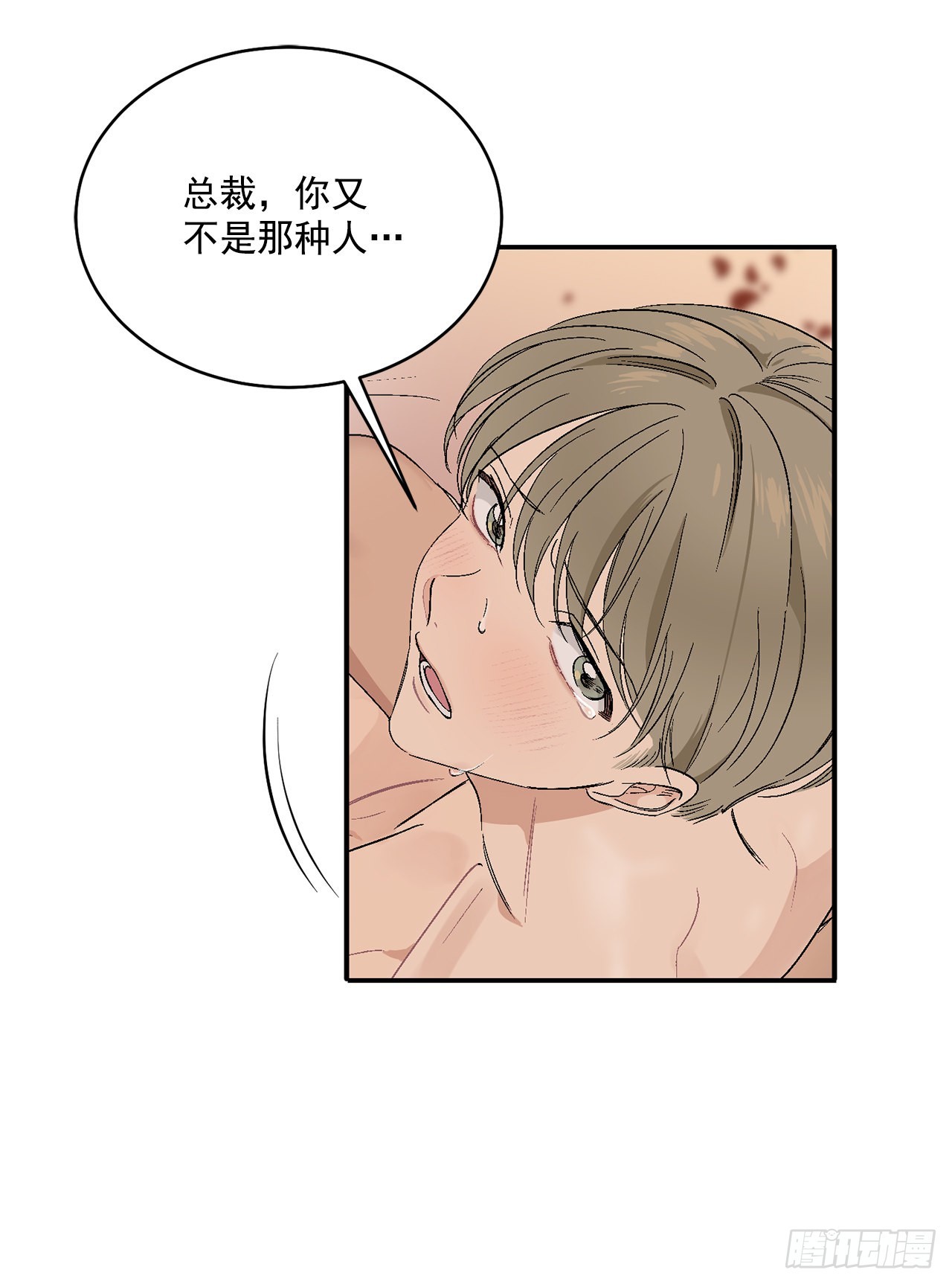 37.总裁的喜好36