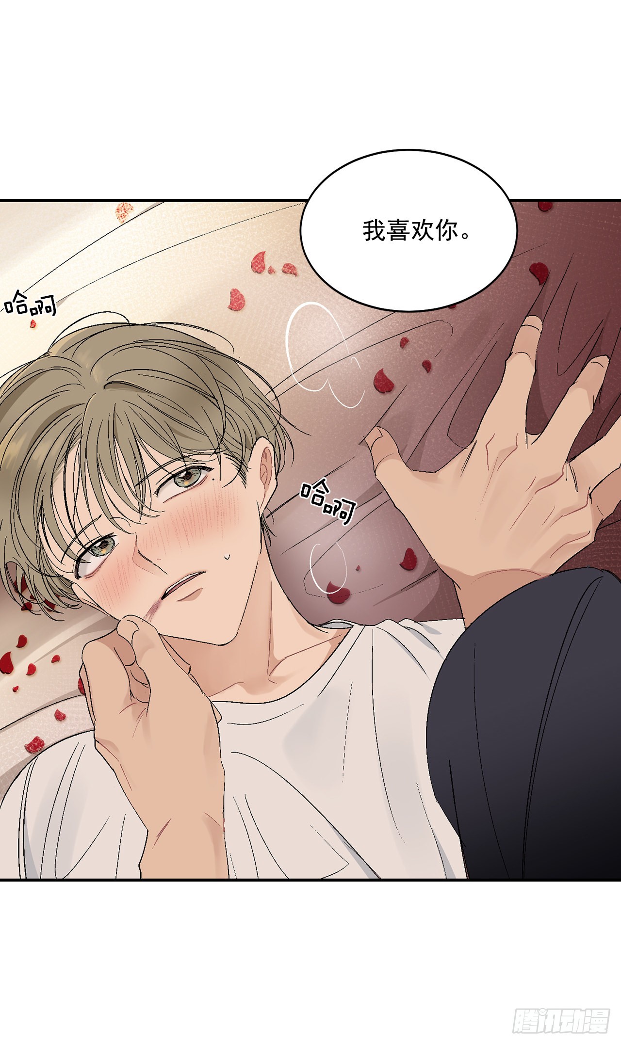 37.总裁的喜好21