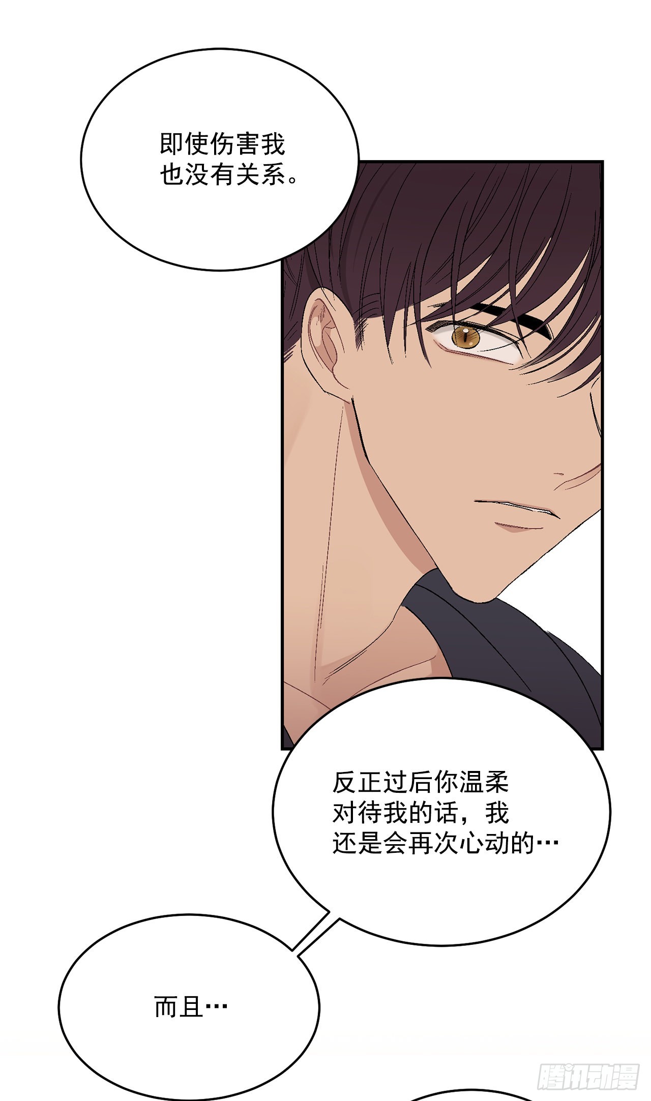 37.总裁的喜好11