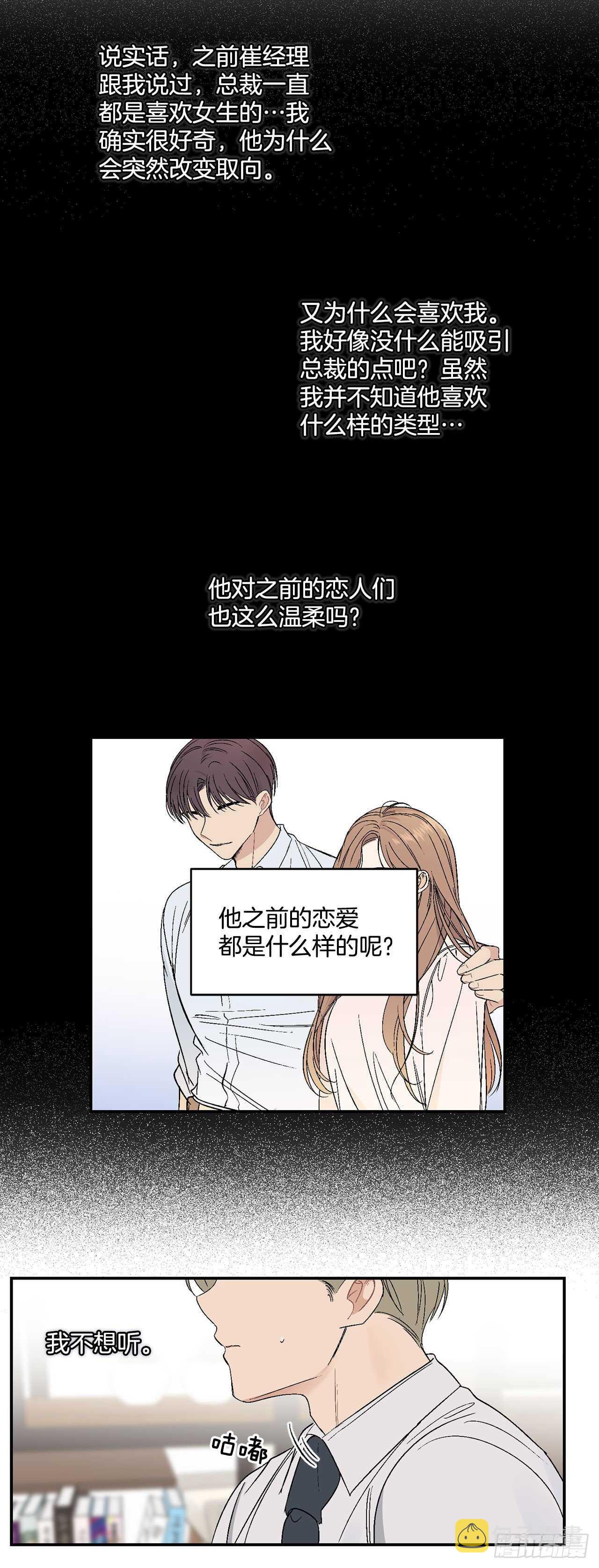 30.总裁的过去21