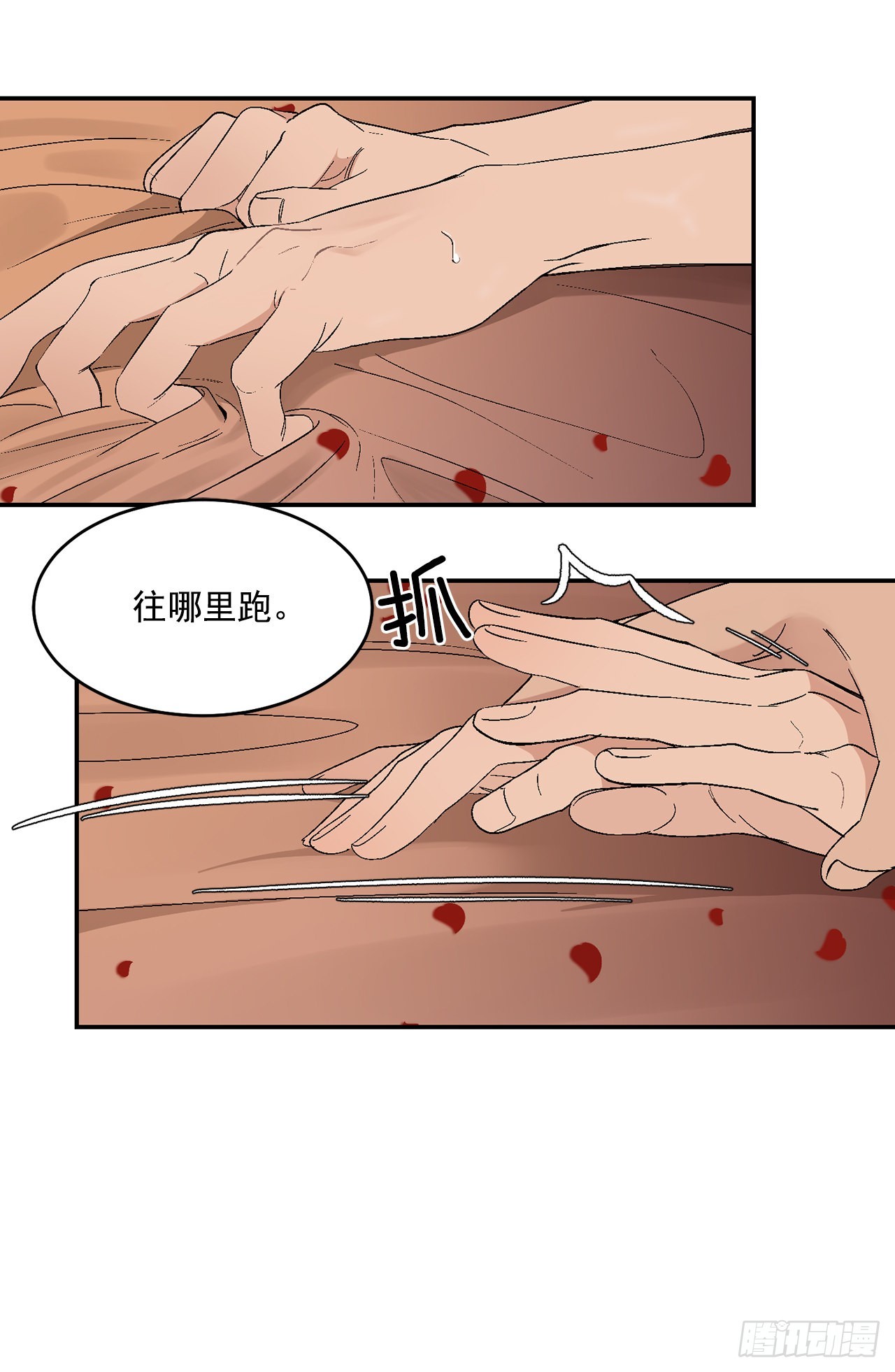 37.总裁的喜好25