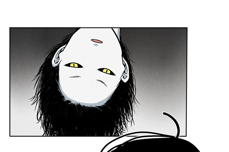 选项29