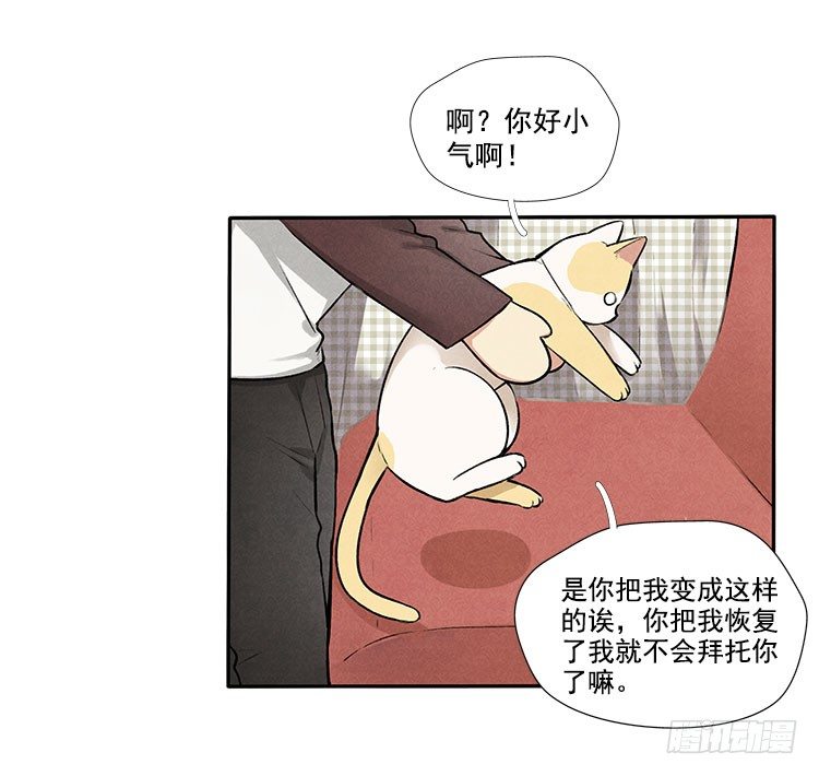 怎么会这样11