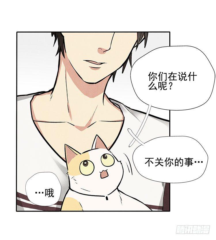 怎么会这样6