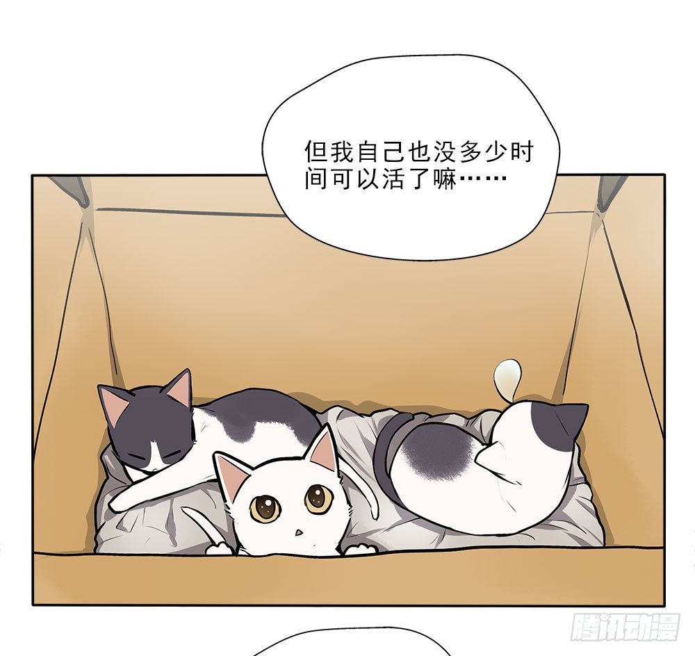不定期番外篇3.014