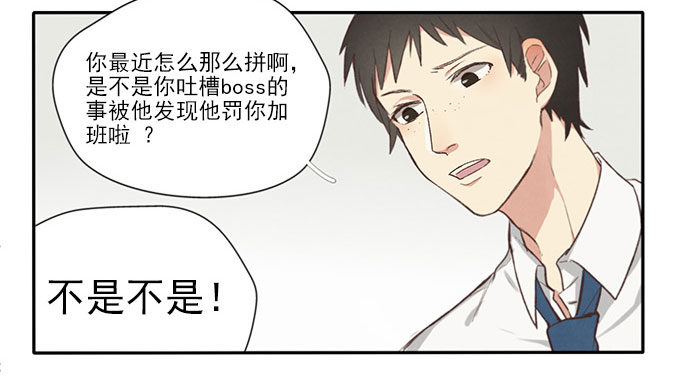 命中注定12