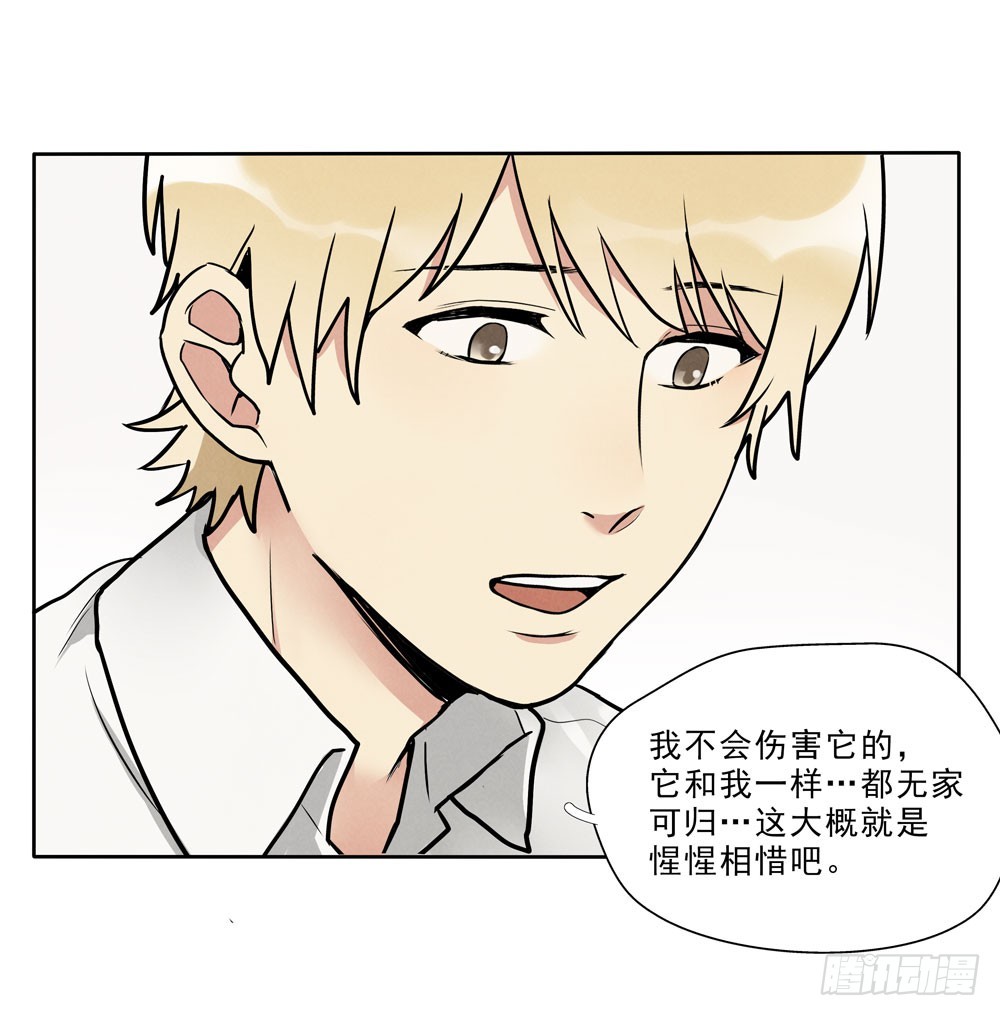 眼泪28