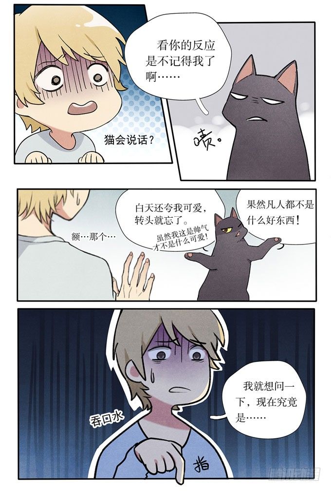 猫的报恩？9