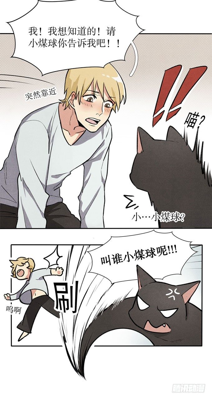 猫的报恩？19
