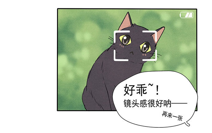 预告4