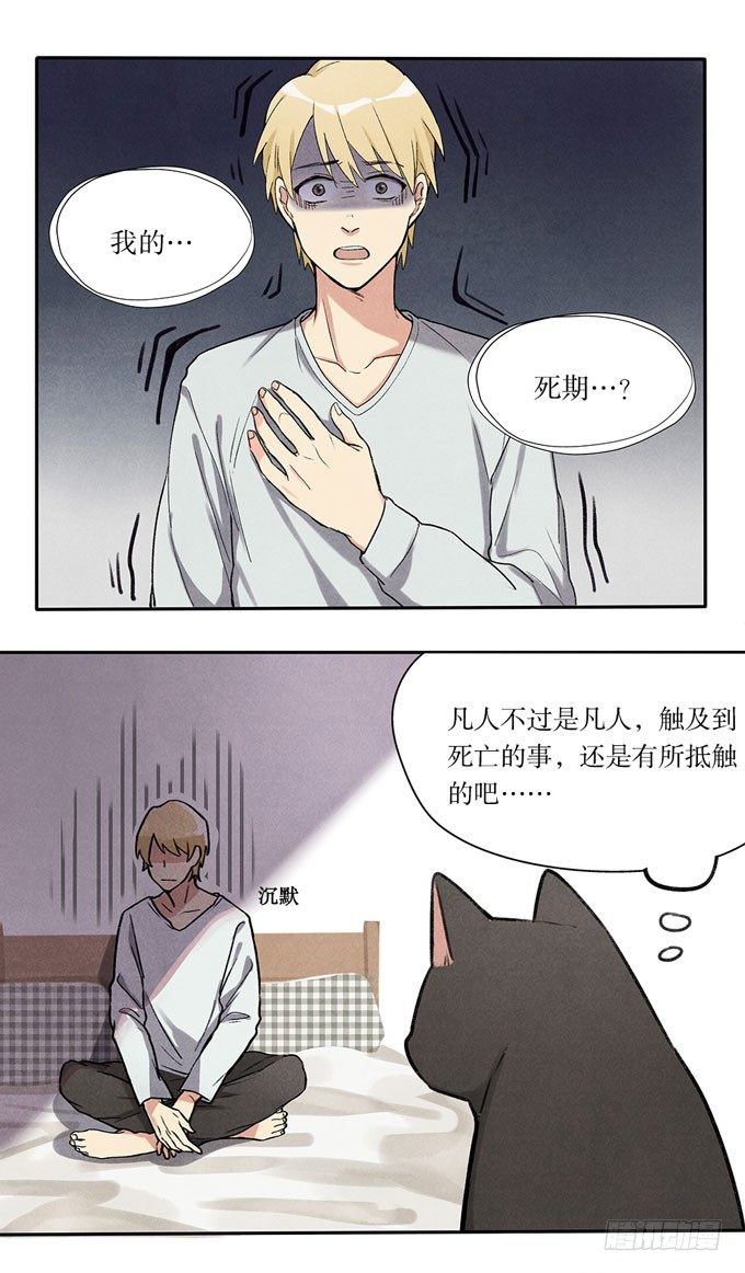 猫的报恩？17