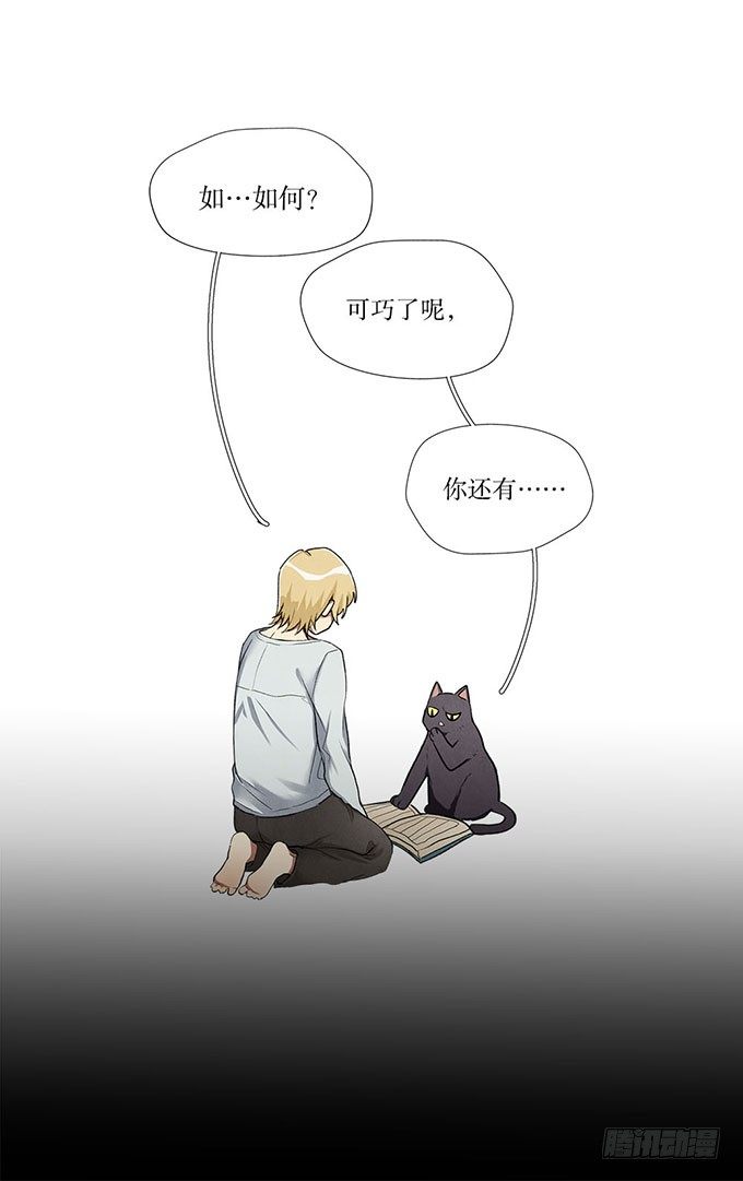 预告14