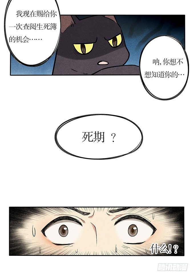 猫的报恩？16